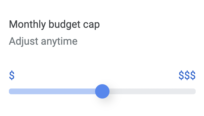 google ads monthly budget